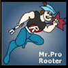 Pro Rooter, Inc logo