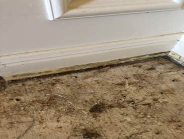 Photos by North Bay Emergency Restoration Services Inc #1