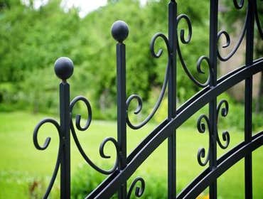 Ornamental