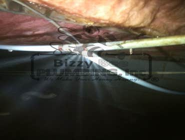 Photos from Bizzy Bee Plumbing, Inc