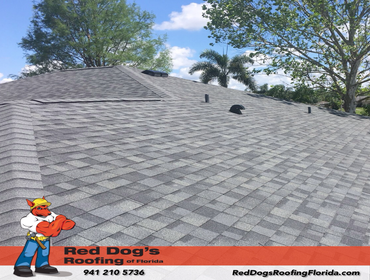 Photos by Red dog's Roofing of Florida #1