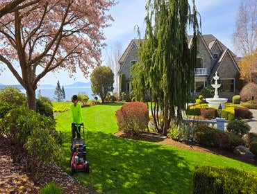 Photos by Mv Top Landscaper LLC #1