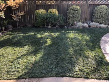 Photos by Jose Luis Landscaping #8