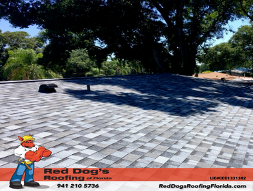Photos by Red dog's Roofing of Florida #1