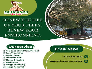 Photos by Mejicanos Tree Care #3