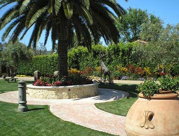 Photos by Daniels Landscape Inc #1