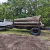 Naugle Logging