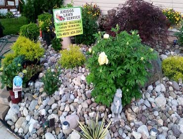 Photos by Amigos Lawn Care & Tree Service #1