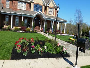 Photos by Amigos Lawn Care & Tree Service #1
