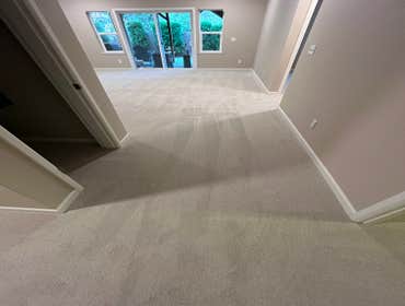 Photos by Gus's Premium Carpets Inc #1