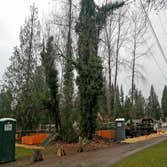 Seattle Residential Development