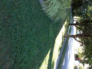 Mitchell & Son Plumbing And Lawncare Project