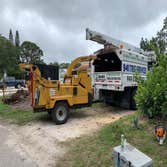 Photos by 941 Tree Services LLC #1