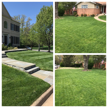 AP Landscapers, Lawn Care & Landscaping Service