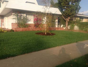Woodland Hills Replaced old lawn with new sod and added new planters with new shrubs and trees.
Retrofitted irrigation system to make it more water ef