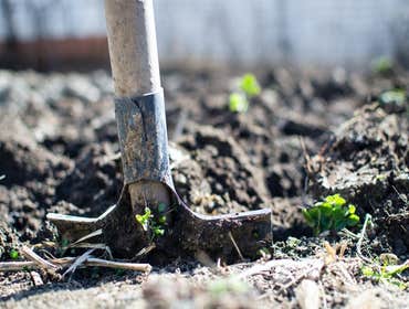 Photos by B&c Fruit Trees & Landscape LLC #1