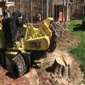 Bristow Tree Service