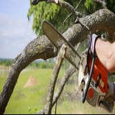 Photos by Maryland Tree Service #1