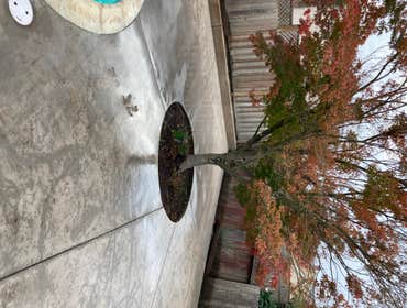 Photos by Brodt Construction #3