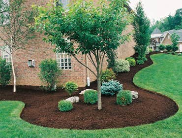 Photos from Rivera's Landscaping & Construction Inc.