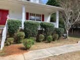 Photos by Don Cele Landscaping #1