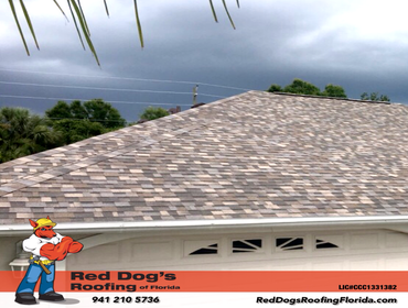 Photos by Red dog's Roofing of Florida #1