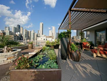 Chicago Rooftops
