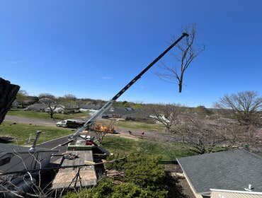 Photos by Green Point Tree Services & Landscaping #16