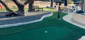 Lone Star Artificial Turf