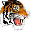 Tiger Steel Construction Inc logo