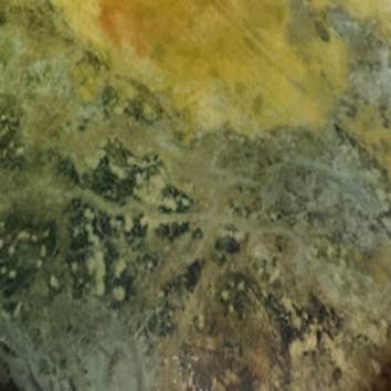 Mold Removal Orem Solutions