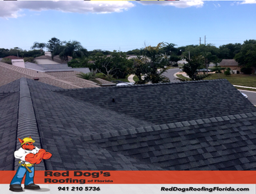 Photos by Red dog's Roofing of Florida #1