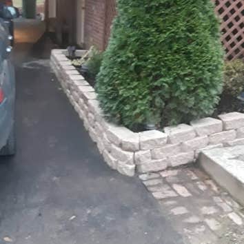 Photos by Alberto Alavez Professional Lawn Services LLC #1