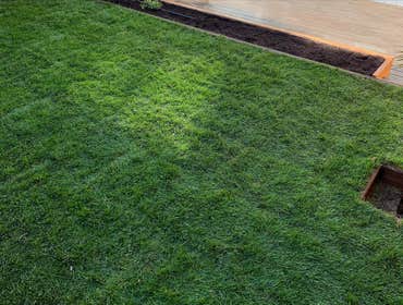 Landscaping
