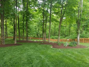 Photos by Jm Landscape and Tree Services #1