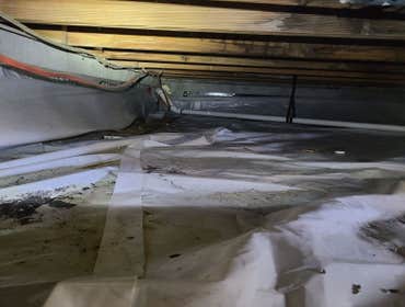 Photos by Dade City Crawl Space Repair #1
