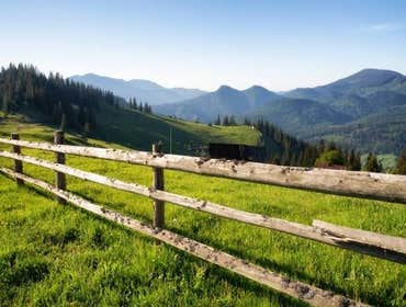 Fences
