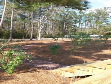 Projects and Plants This gallery shows a combination of projects and beautiful Native Plants. Projects that meet the requirements of a National Wildli
