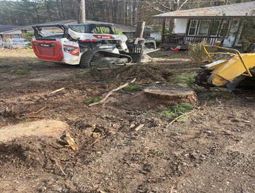 Flores Tree Services General & Landscaping