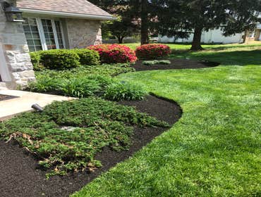 Photos by Ed Francos Simply Green, LLC #1