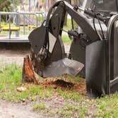 Photos by Pro Tree Service of Savannah #1