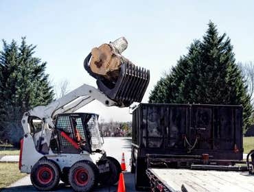 Photos by Wally's Tree Service #1