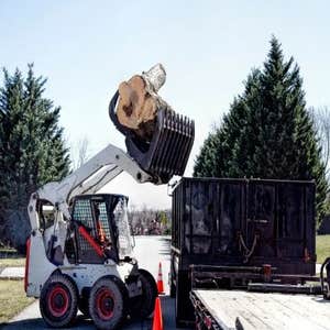 Photos by Wally's Tree Service #1