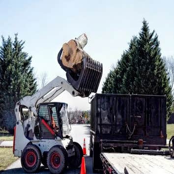 Photos by Wally's Tree Service #1