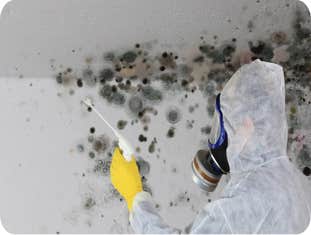 Photos by Elite Water Restoration #1