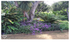 Photos by Foothill Nursery & Landscape Inc #1