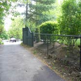 Chain link