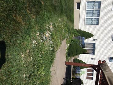 Before Rock removal
