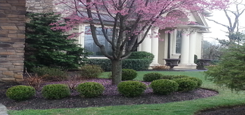 Prestige Custom Builders