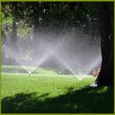 Photos from Lawn Management Sprinkler Co
